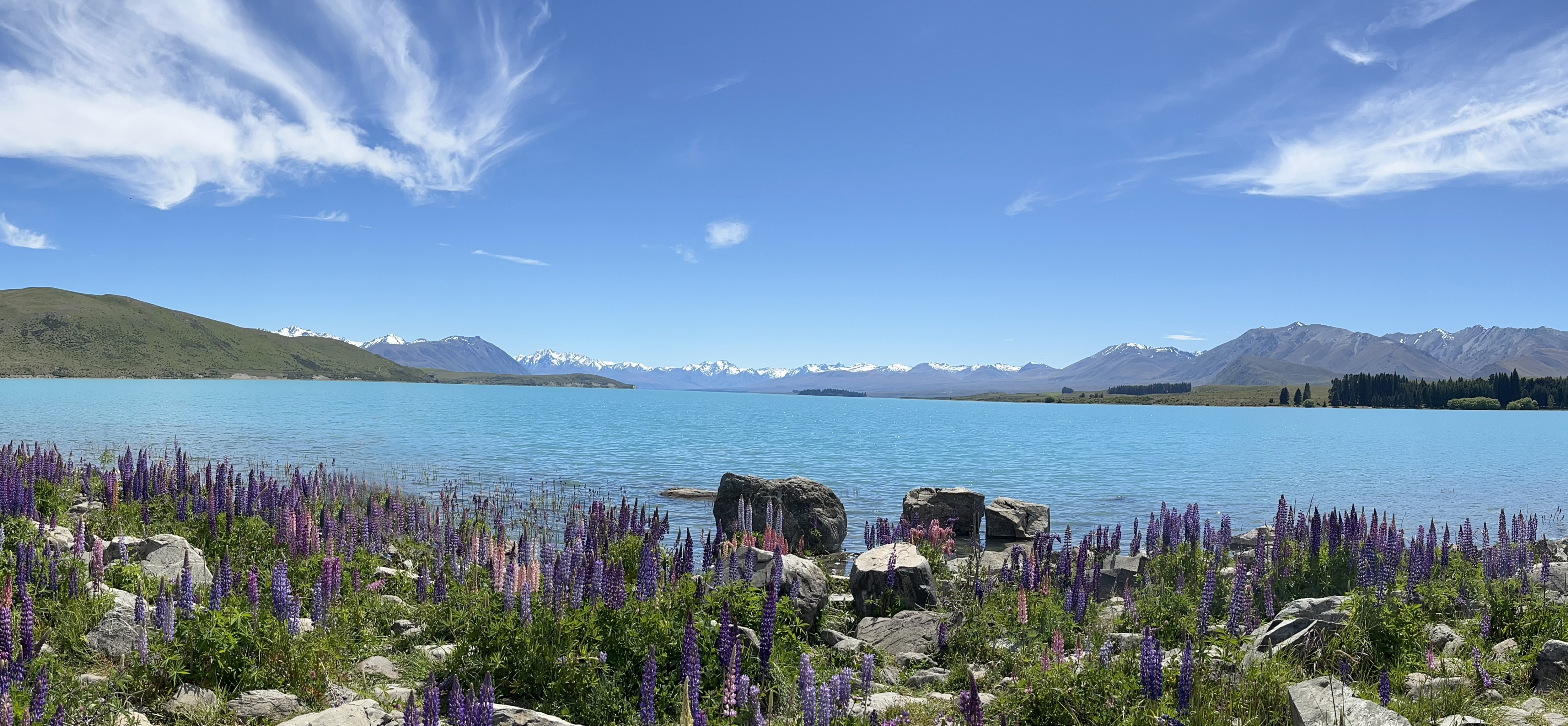 lac Tekapo